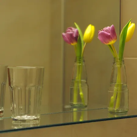 Ambassador Parkhotel Münih