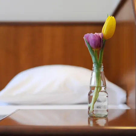 Ambassador Parkhotel