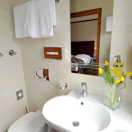 Ambassador Parkhotel 3* מינכן