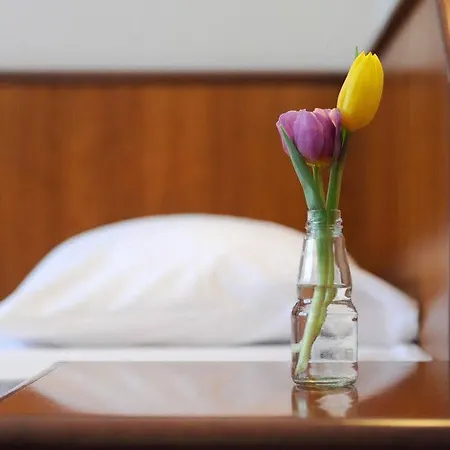 Hotel Ambassador Parkhotel München