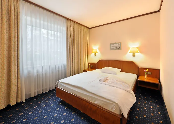 Hotel Ambassador Parkhotel 3*